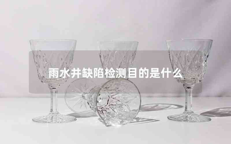 雨水井缺陷檢測(cè)目的是什么