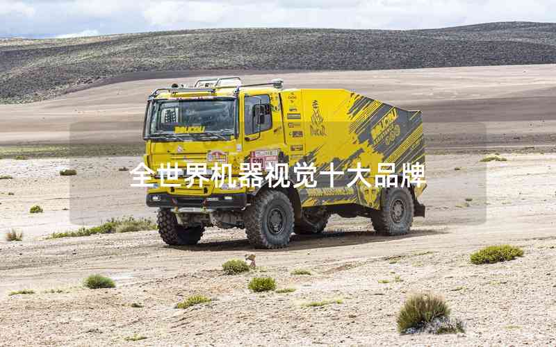 全世界機(jī)器視覺(jué)十大品牌