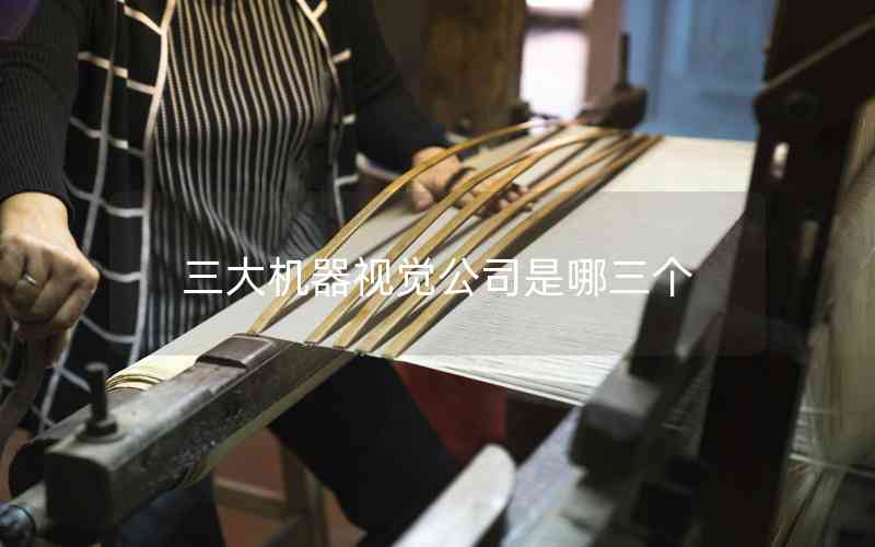 三大機器視覺公司是哪三個