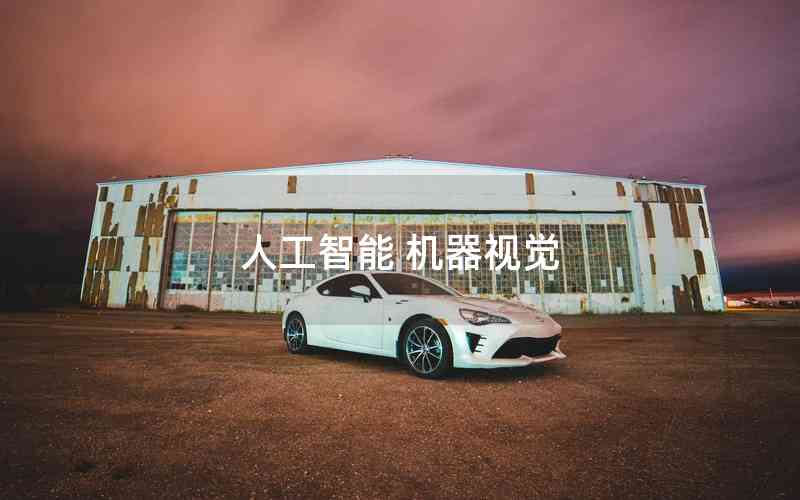 人工智能 機(jī)器視覺