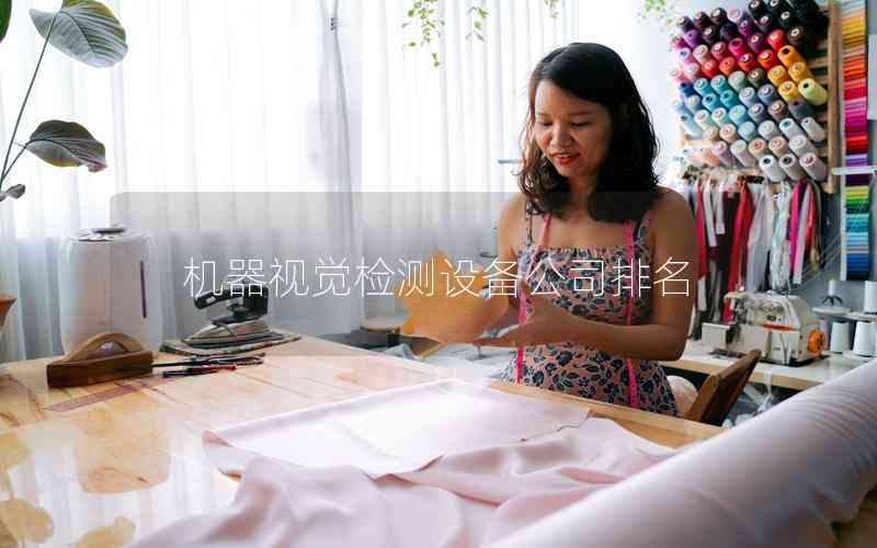 機器視覺檢測設(shè)備公司排名