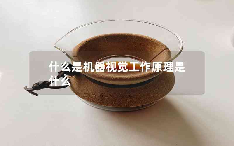 什么是機(jī)器視覺工作原理是什么