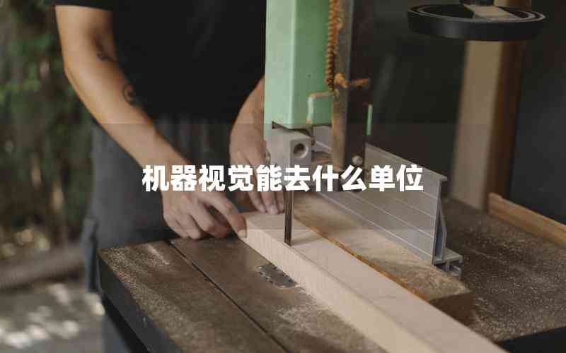 機(jī)器視覺能去什么單位