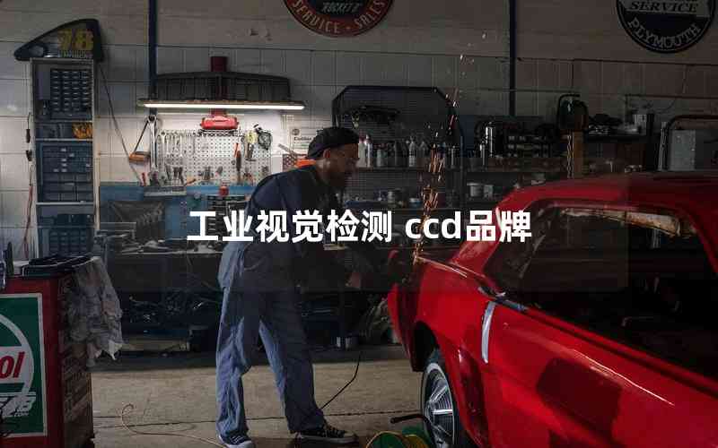 工業(yè)視覺檢測(cè) ccd品牌