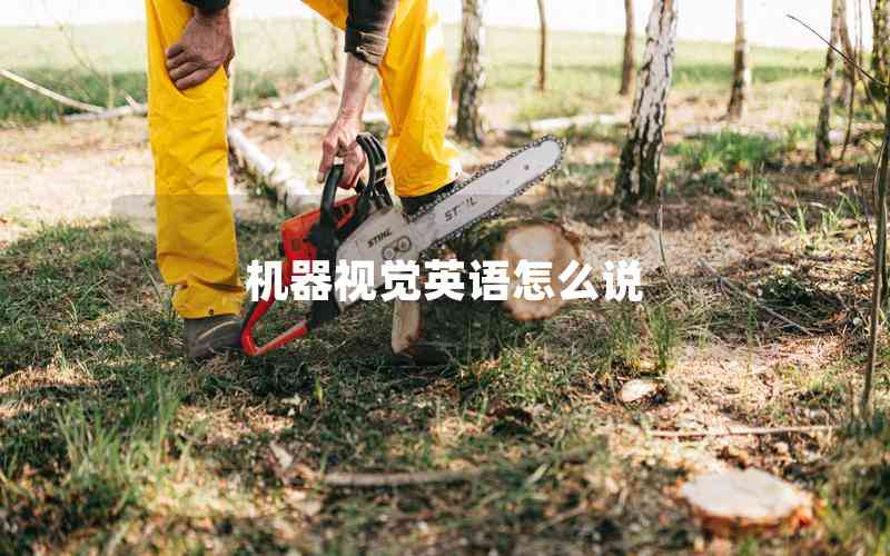 機器視覺英語怎么說
