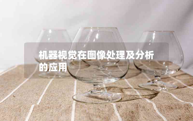 機(jī)器視覺(jué)在圖像處理及分析的應(yīng)用